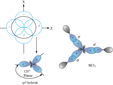 Sp3 sp2 sp гибридизация. Bcl3 гибридизация. Молекула bcl3. Гибридизация молекулы bcl3. Пространственное строение bcl3.